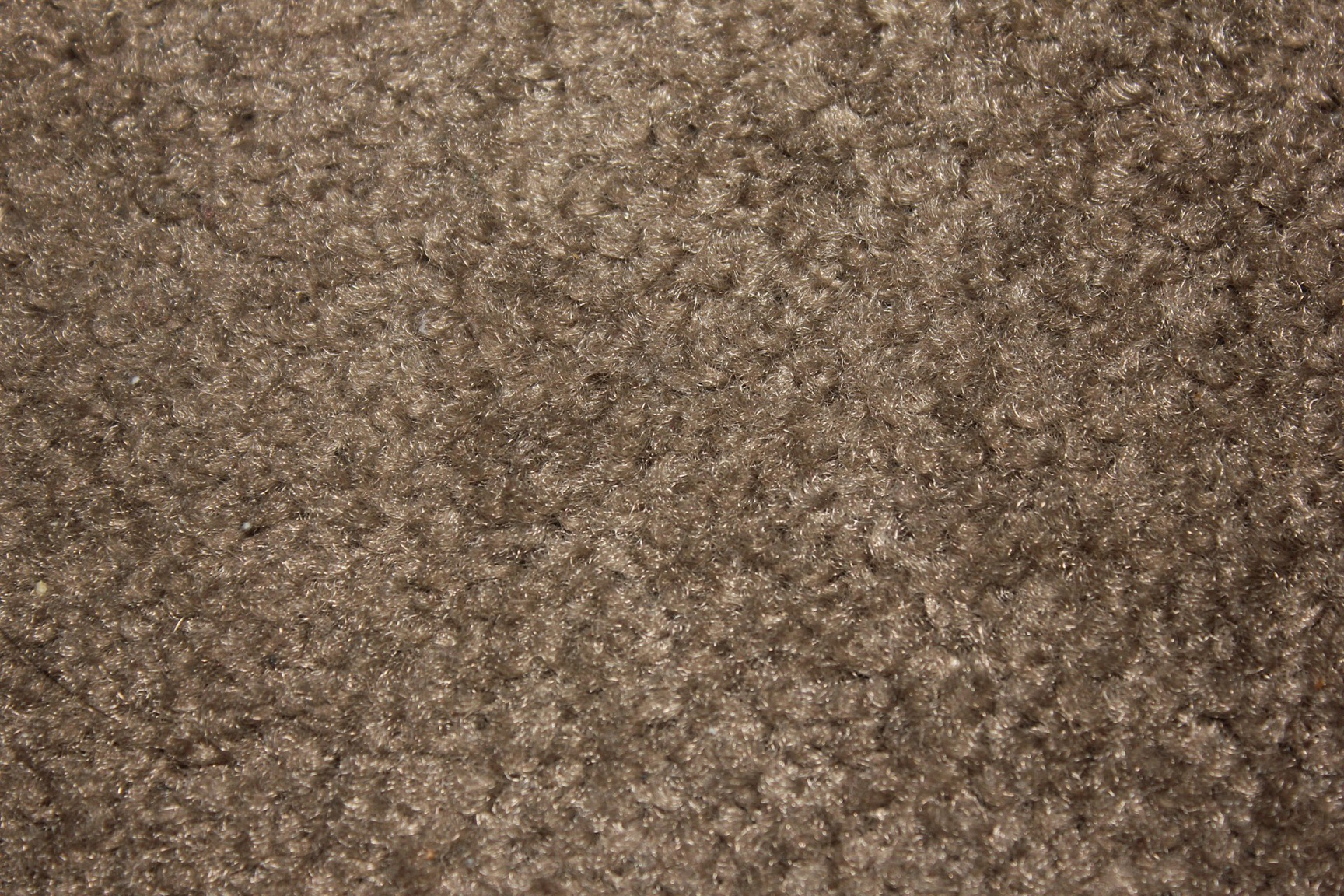 Textured Carpet Background 